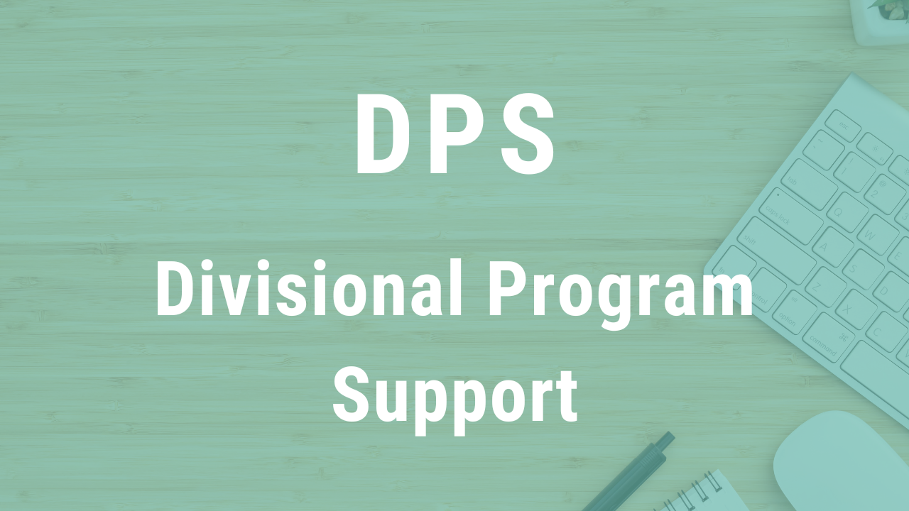 Divisional Program Support