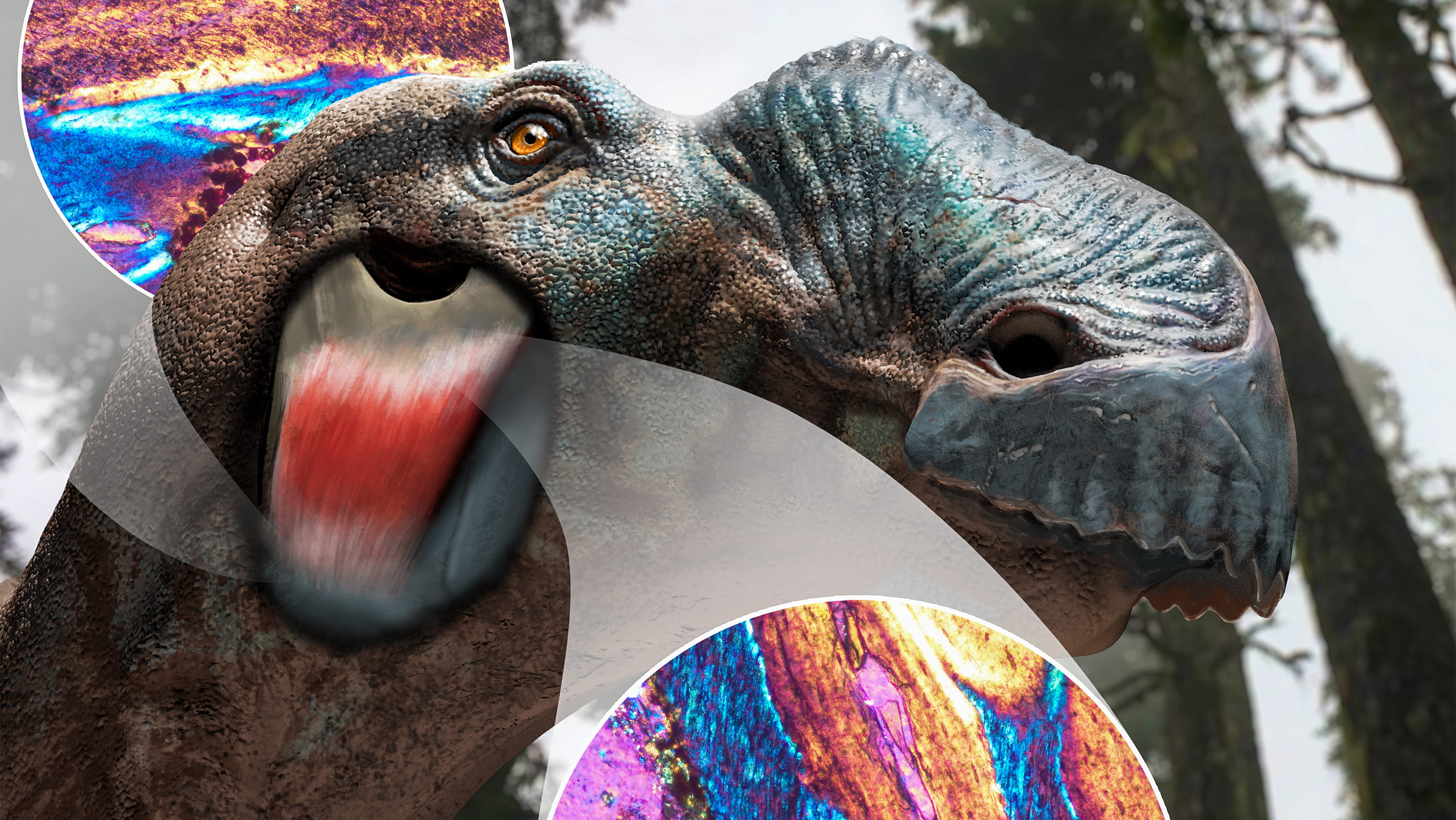 A visualization of a dinosaur soft tissue created by photography (Vancouver Island, British Columbia), 3D modelling (Sullivan Lab, U of A), digital painting (Caldwell Lab, U of A), and histology (Vert.Paleo. histology lab, U o fA) of bones from Dinosaur Provincial Park, Alberta. (Photo/Illustration: Henry Sharpe)